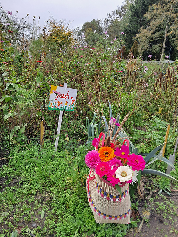 Bloemenplukweken bij Wagner