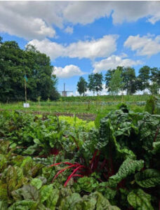 Groen(te) aan de Gaasp update en uitnodiging